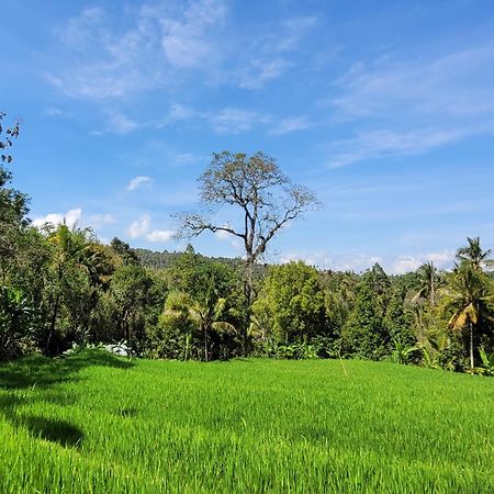 Umah Yugadi Bali Apartment Munduk Екстериор снимка