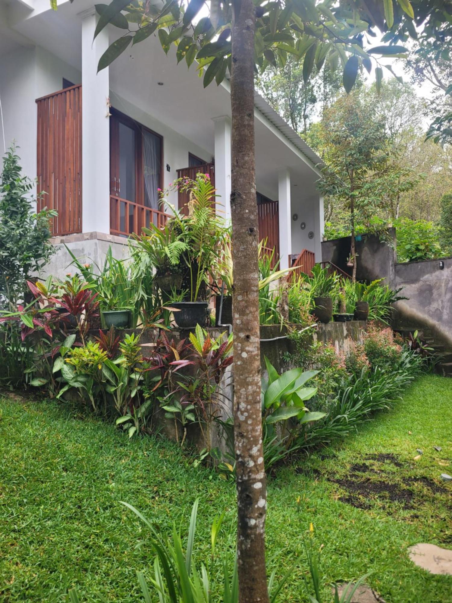 Umah Yugadi Bali Apartment Munduk Екстериор снимка